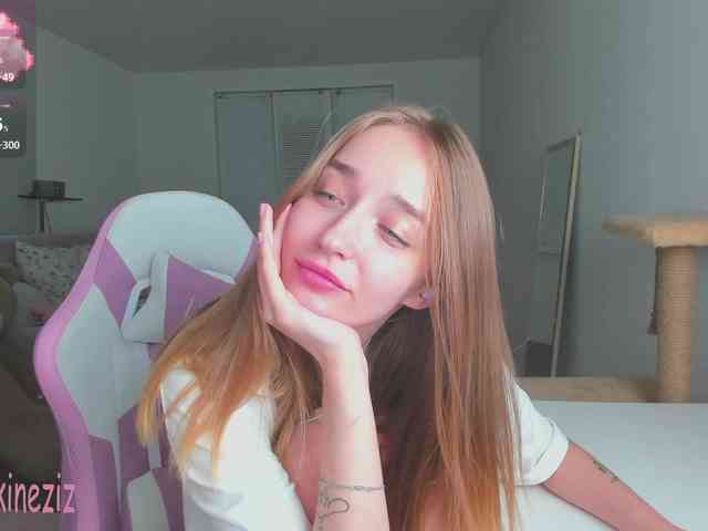 Polikinesis webcam