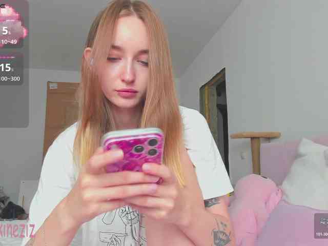 Polikinesis webcam