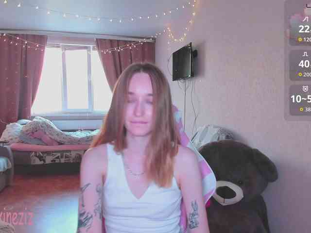 Polikinesis webcam