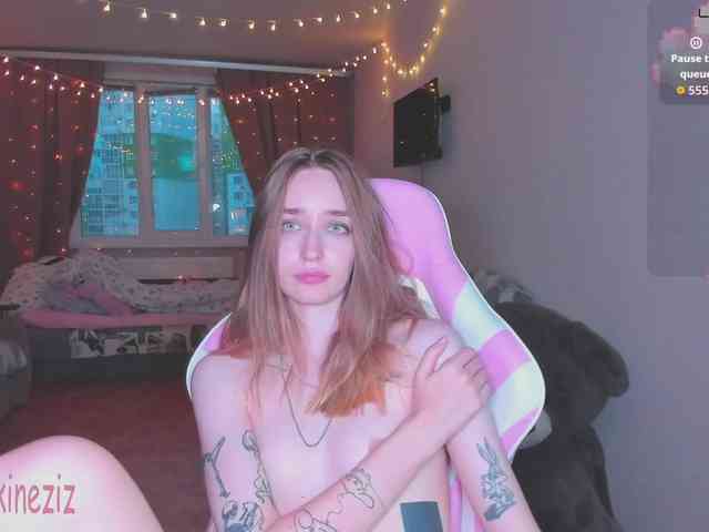 Polikinesis webcam