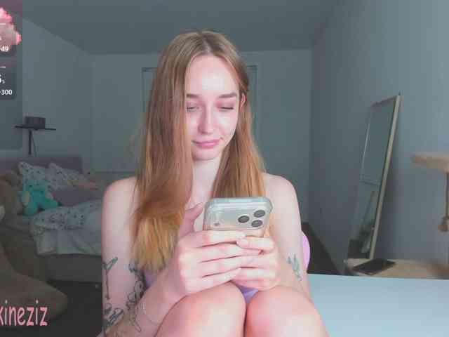 Polikinesis webcam