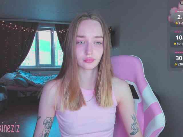 Polikinesis webcam