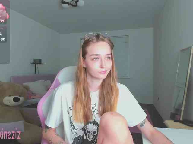 Polikinesis webcam