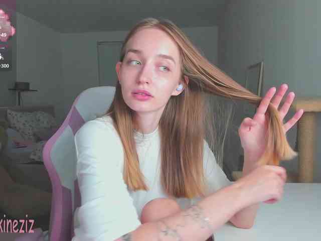 Polikinesis webcam