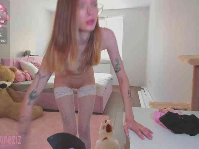 Polikinesis webcam