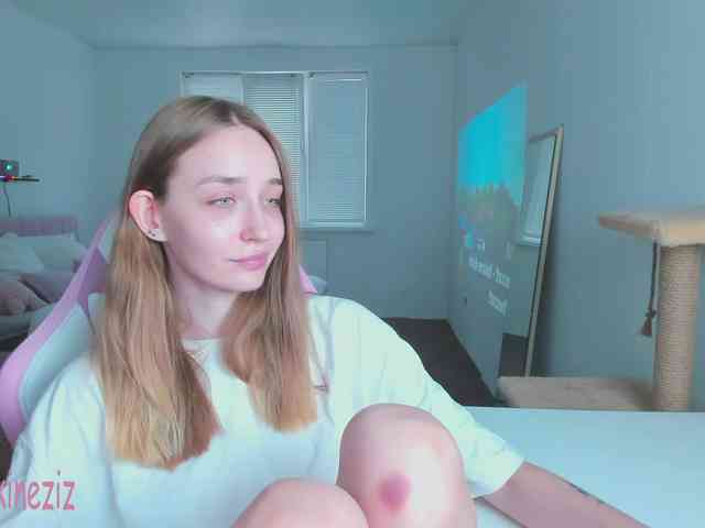 Polikinesis webcam