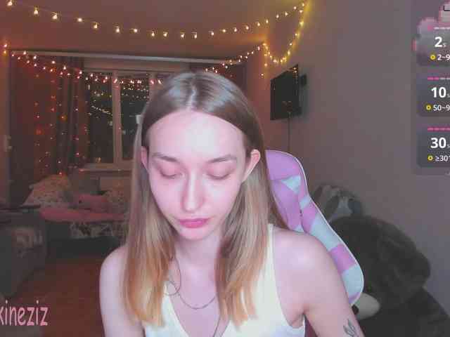 Polikinesis webcam
