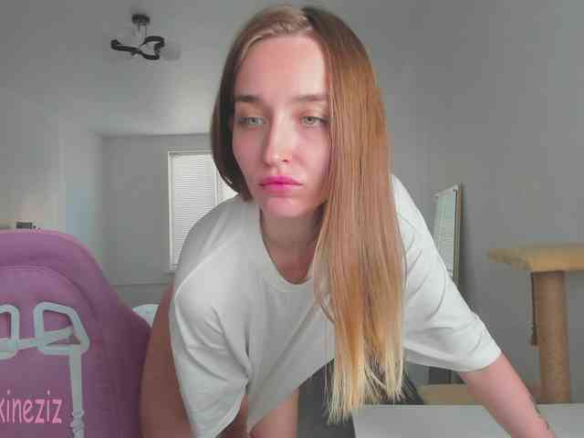 Polikinesis webcam