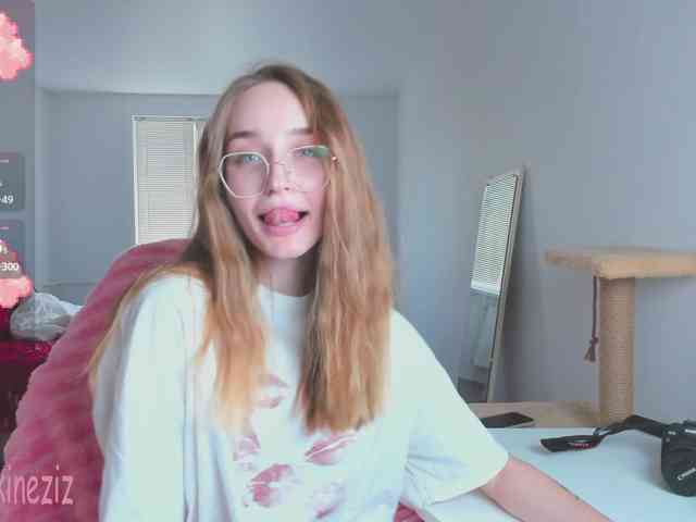 Polikinesis webcam