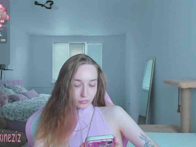 Polikinesis webcam
