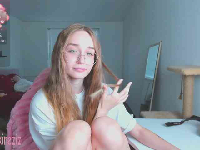 Polikinesis webcam