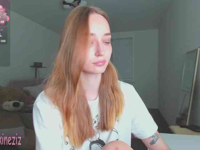 Polikinesis webcam