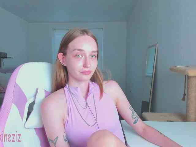 Polikinesis webcam