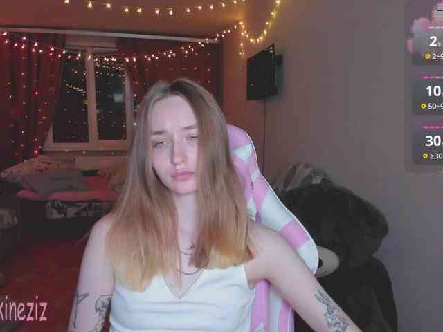 Polikinesis webcam