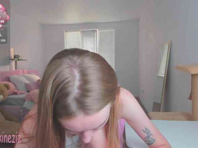 Polikinesis webcam
