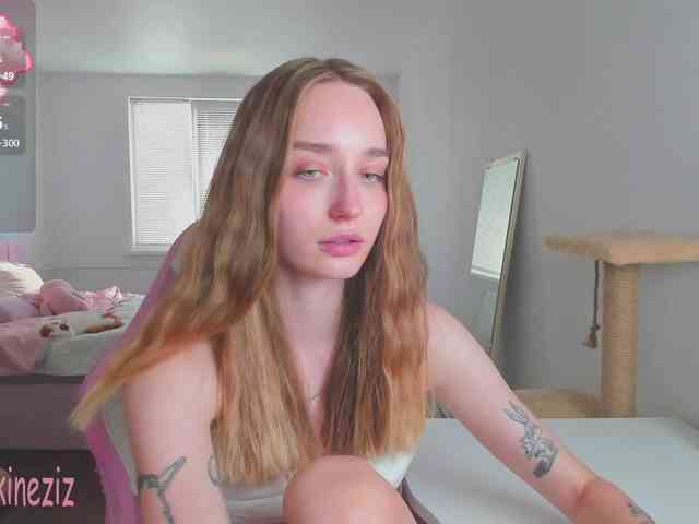 Polikinesis webcam