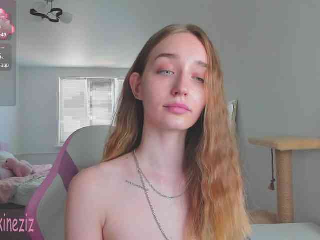 Polikinesis webcam