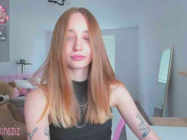 Polikinesis webcam