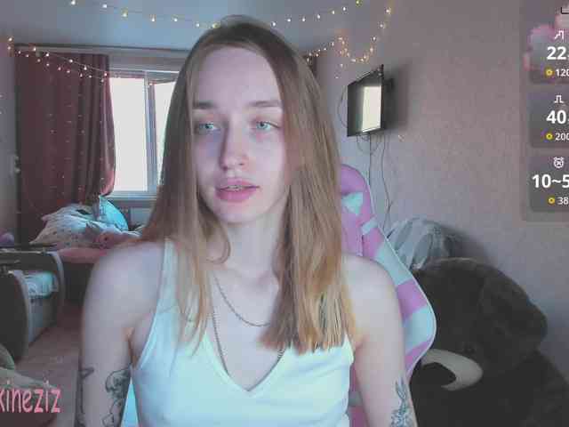 Polikinesis webcam