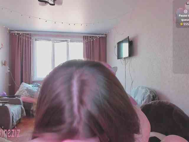 Polikinesis webcam