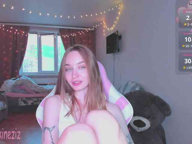 Polikinesis webcam