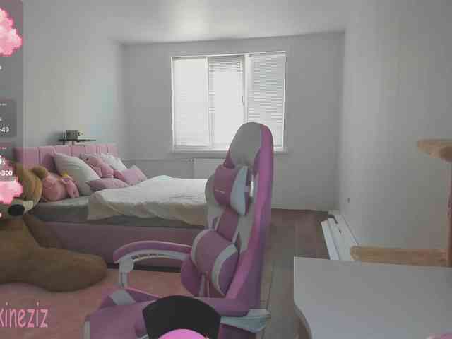 Polikinesis webcam