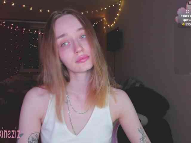 Polikinesis webcam