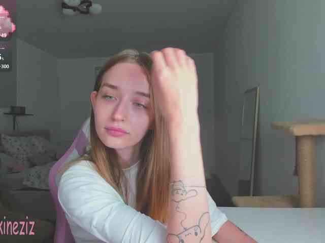 Polikinesis webcam