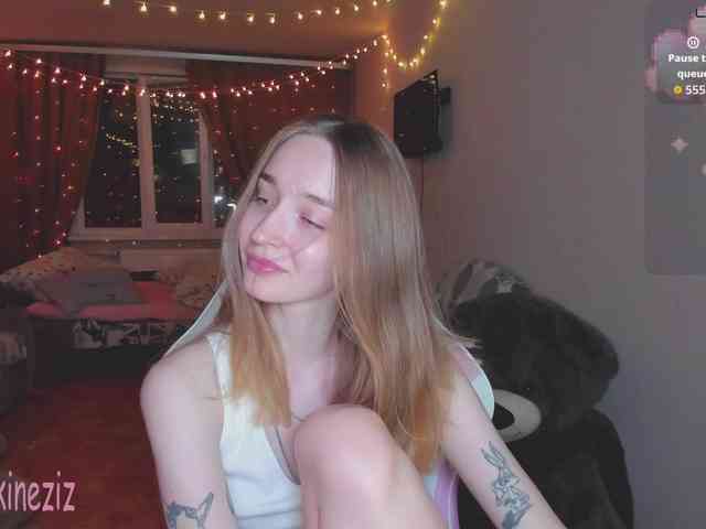 Polikinesis webcam