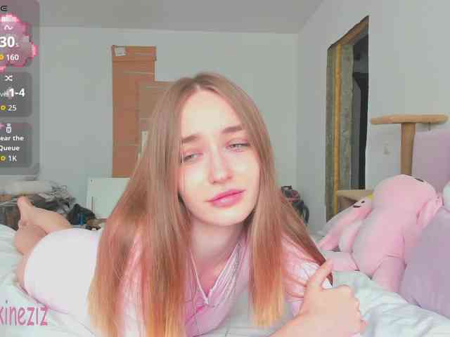 Polikinesis webcam