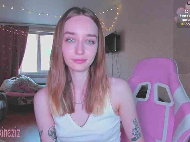 Polikinesis webcam
