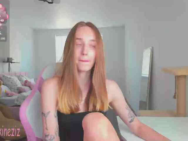 Polikinesis webcam