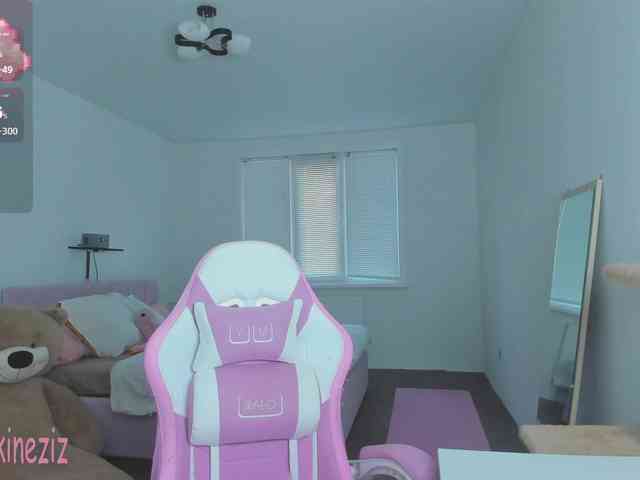 Polikinesis webcam