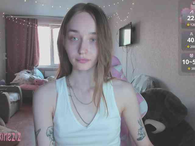 Polikinesis webcam
