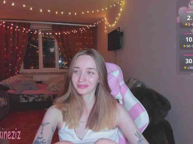 Polikinesis webcam