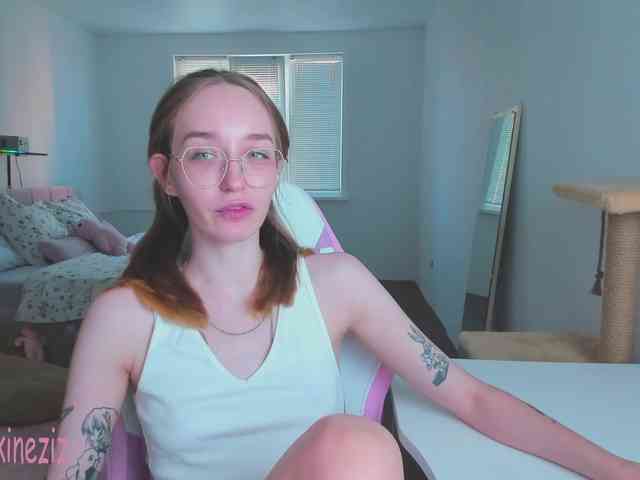 Polikinesis webcam