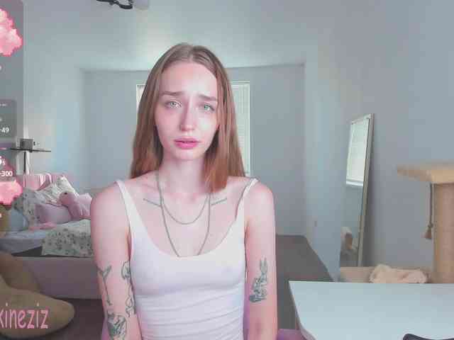 Polikinesis webcam
