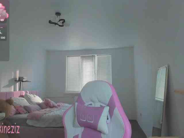 Polikinesis webcam