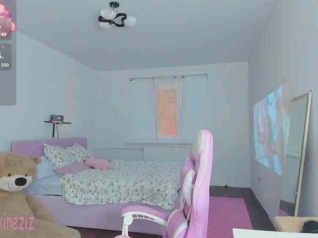 Polikinesis webcam