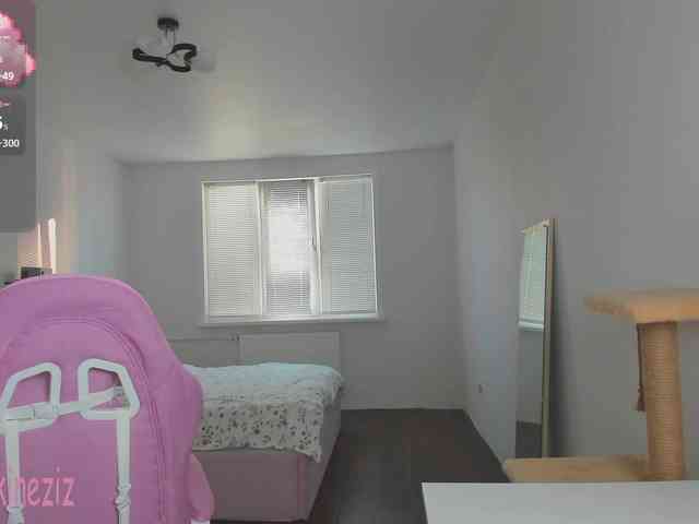 Polikinesis webcam