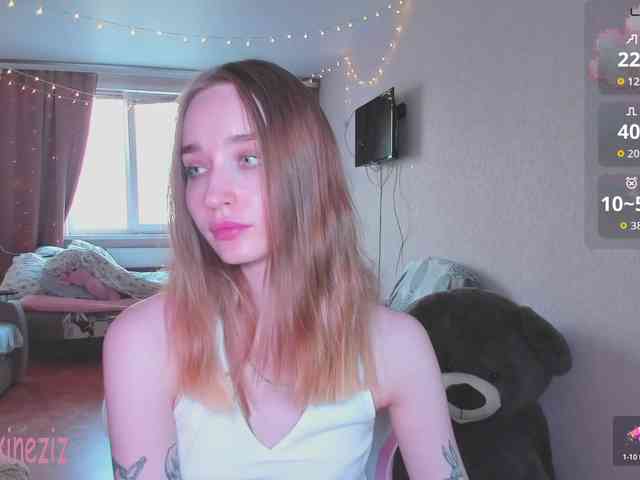 Polikinesis webcam