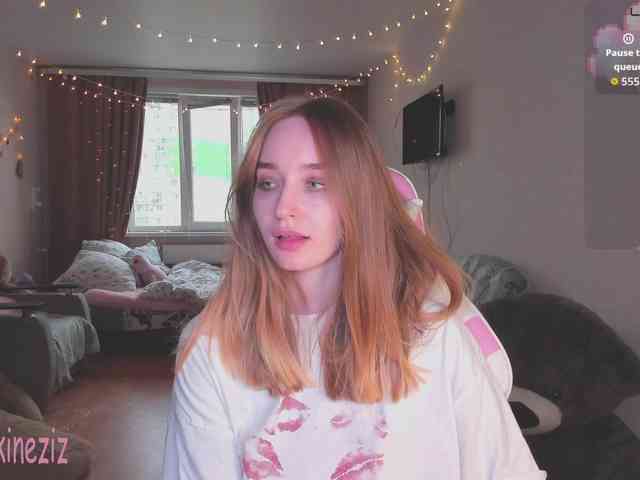 Polikinesis webcam