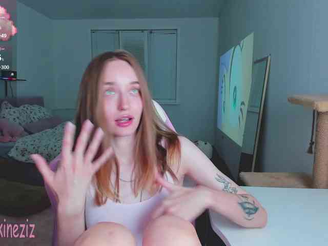 Polikinesis webcam
