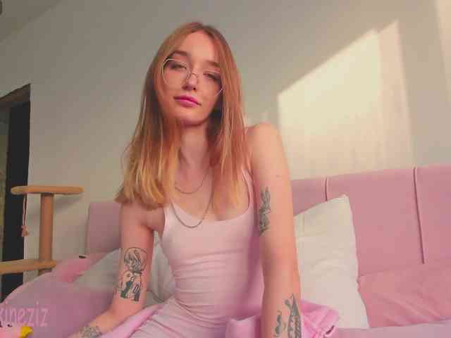 Polikinesis webcam