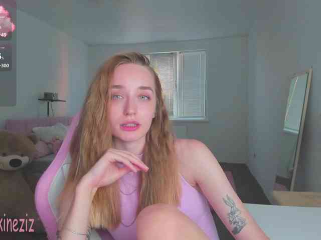 Polikinesis webcam