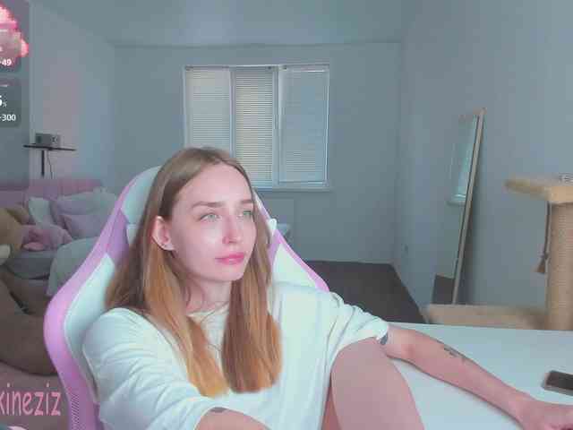 Polikinesis webcam