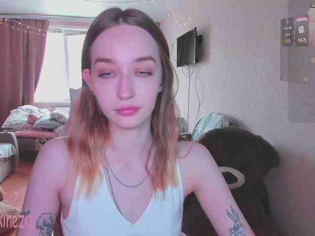 Polikinesis webcam