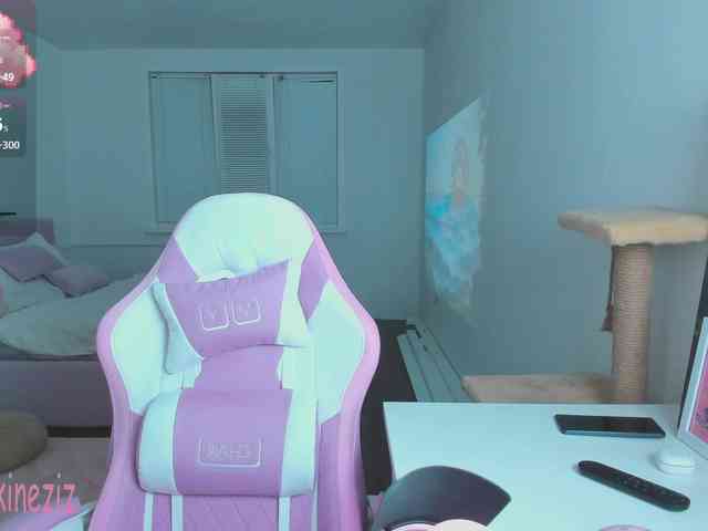 Polikinesis webcam