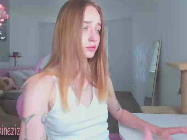 Polikinesis webcam