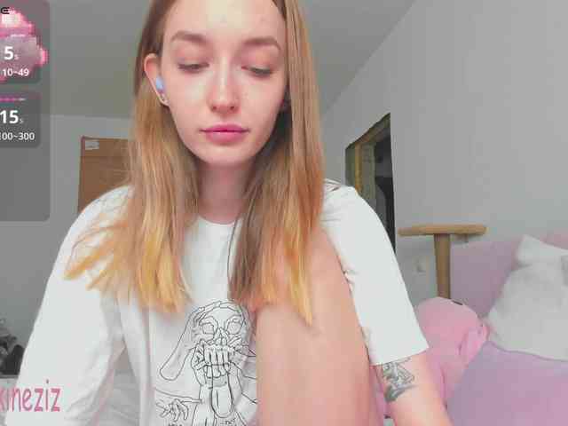 Polikinesis webcam